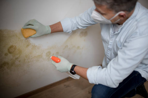 Best Bathroom Mold Remediation in Matawan, NJ